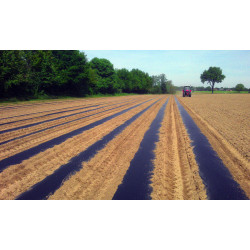 Film Mulching for Beans 1500mm x 500m 30 microns for 1 year BLACK